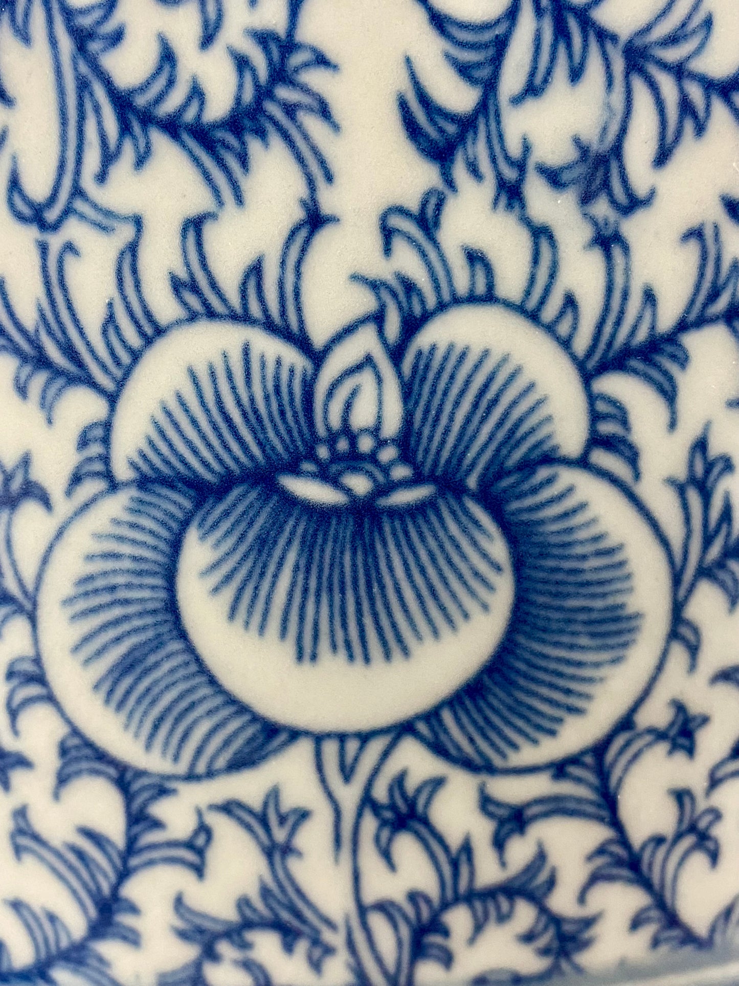 Teratai