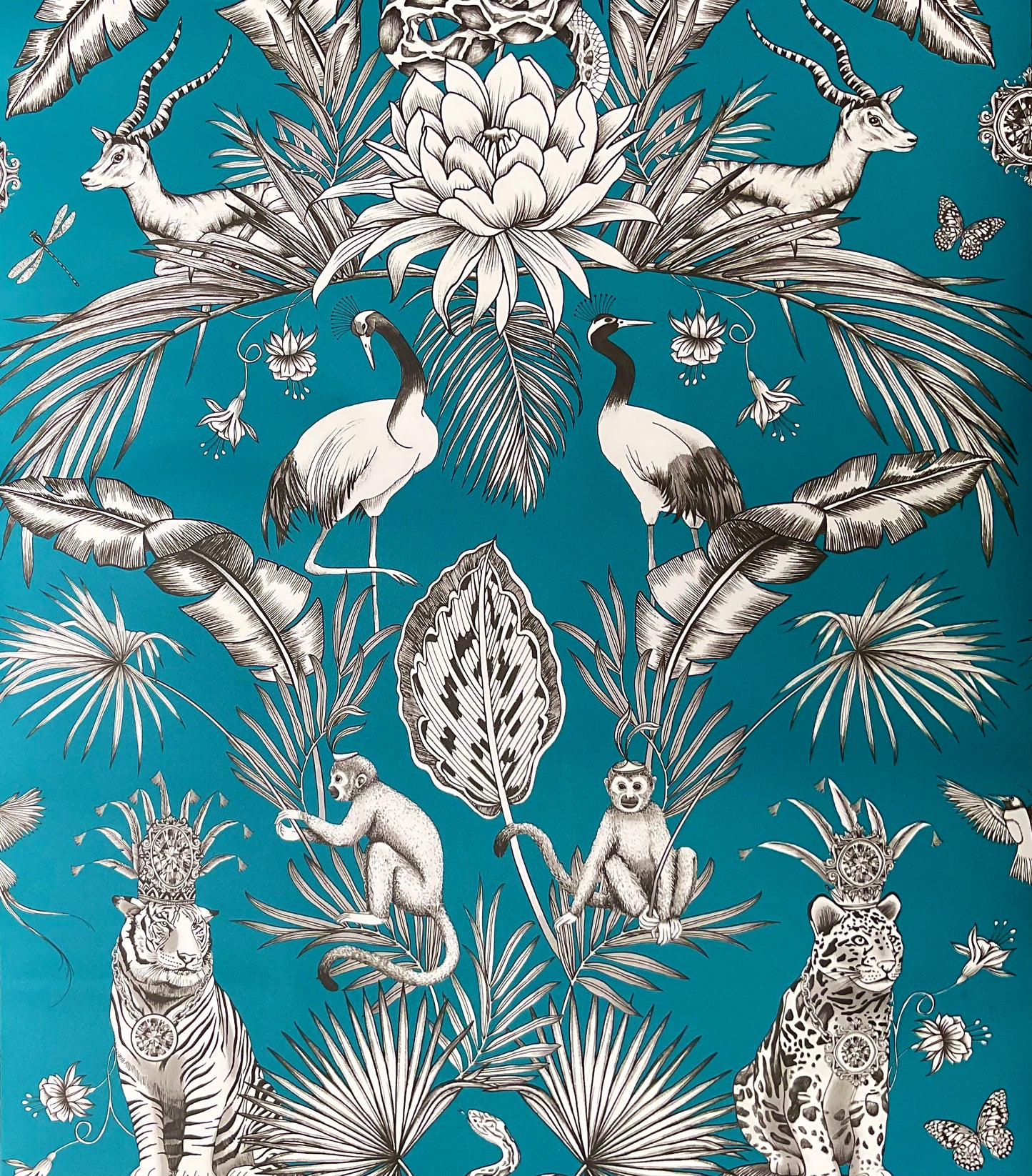 Birds monkey tigers images on teal background