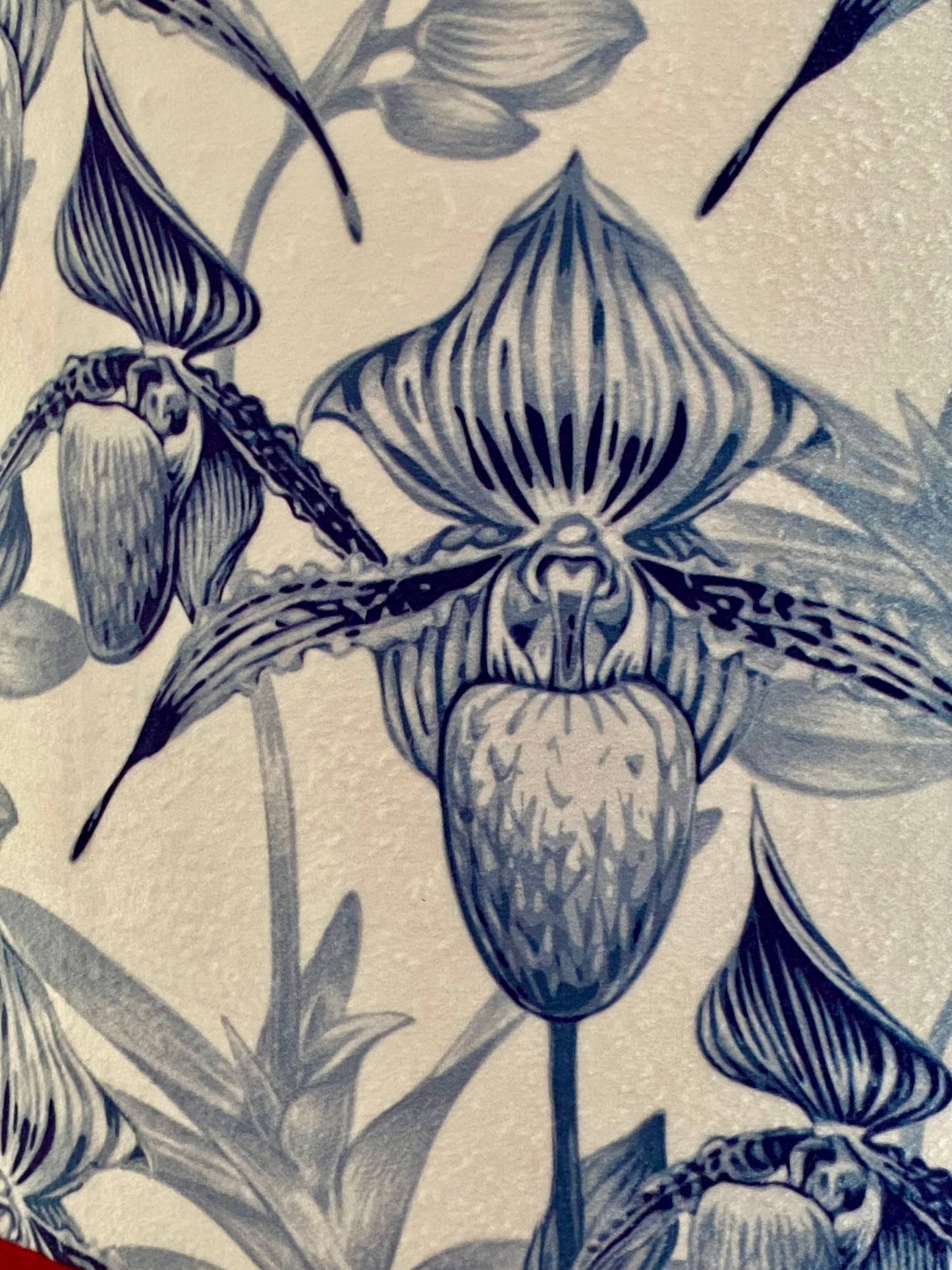 Close up blue grey orchid lampshade